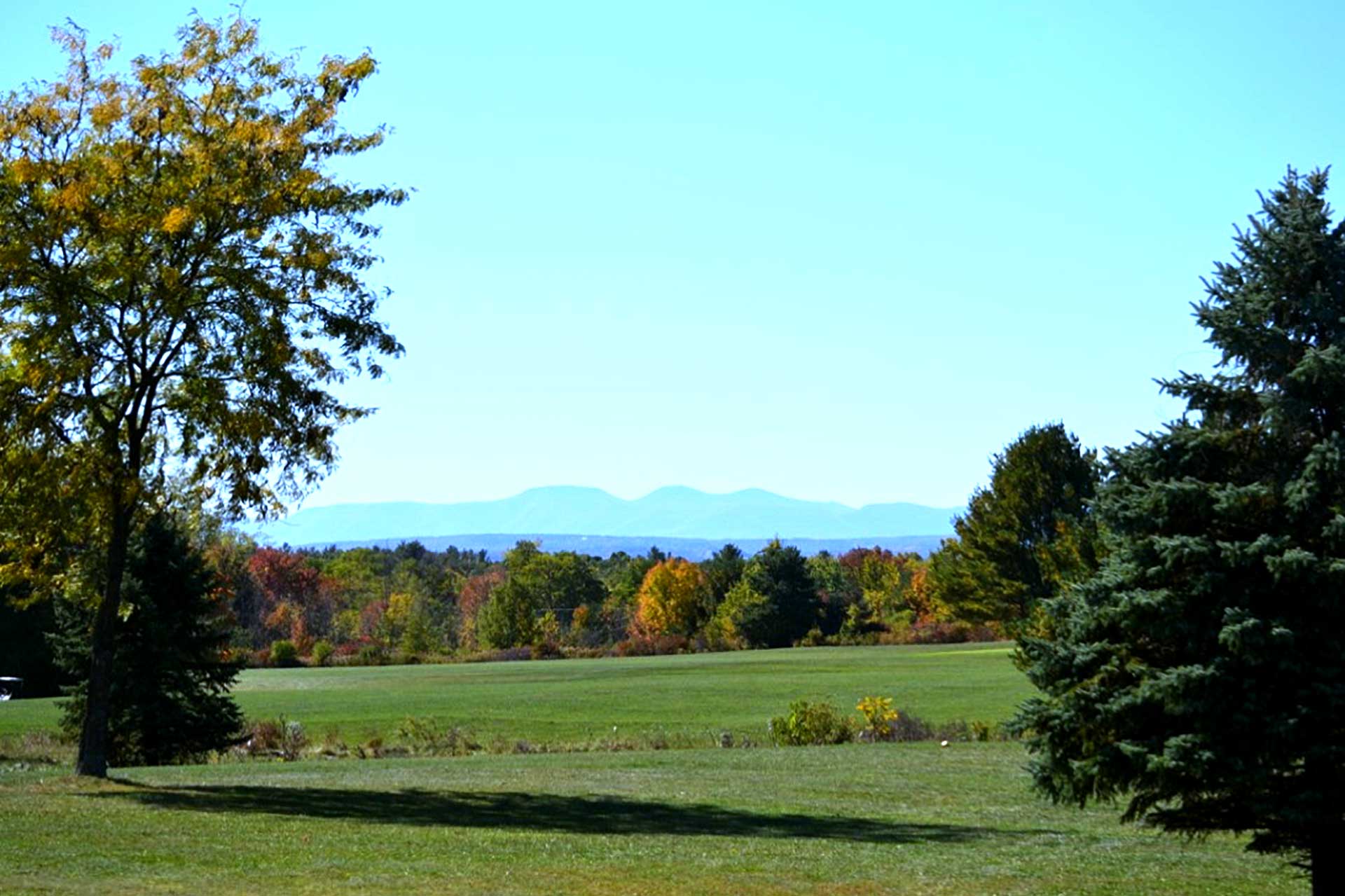 Course Info Pheasant Hollow Golf Course